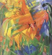 Franz Marc Animals in Landscape (mk34) oil painting on canvas